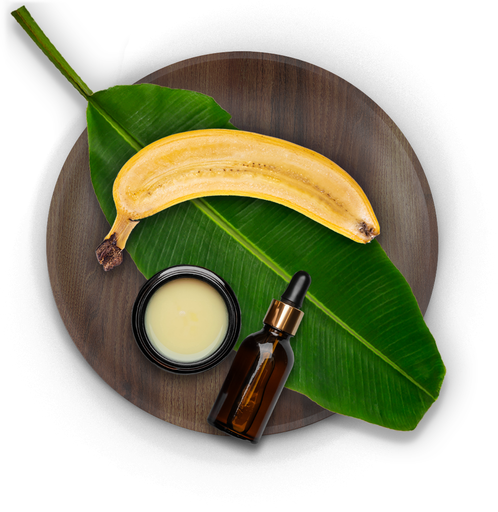 San Martin Banana Farm extract oil from deep in the heart of Ecuador